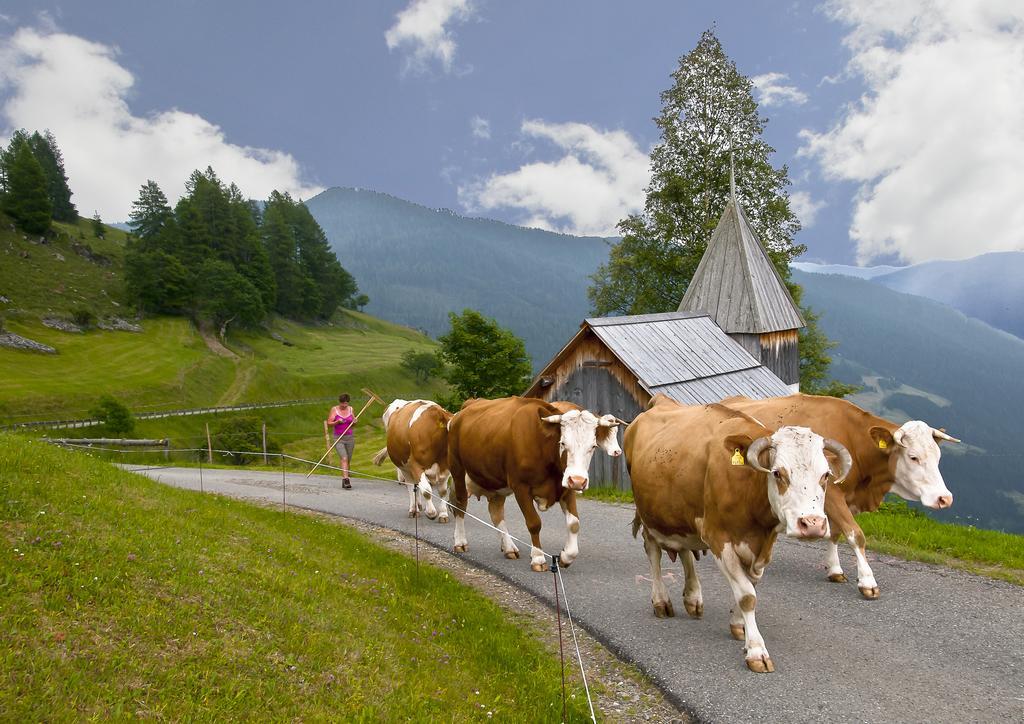 Schrunerhof Ebene Reichenau Kamer foto