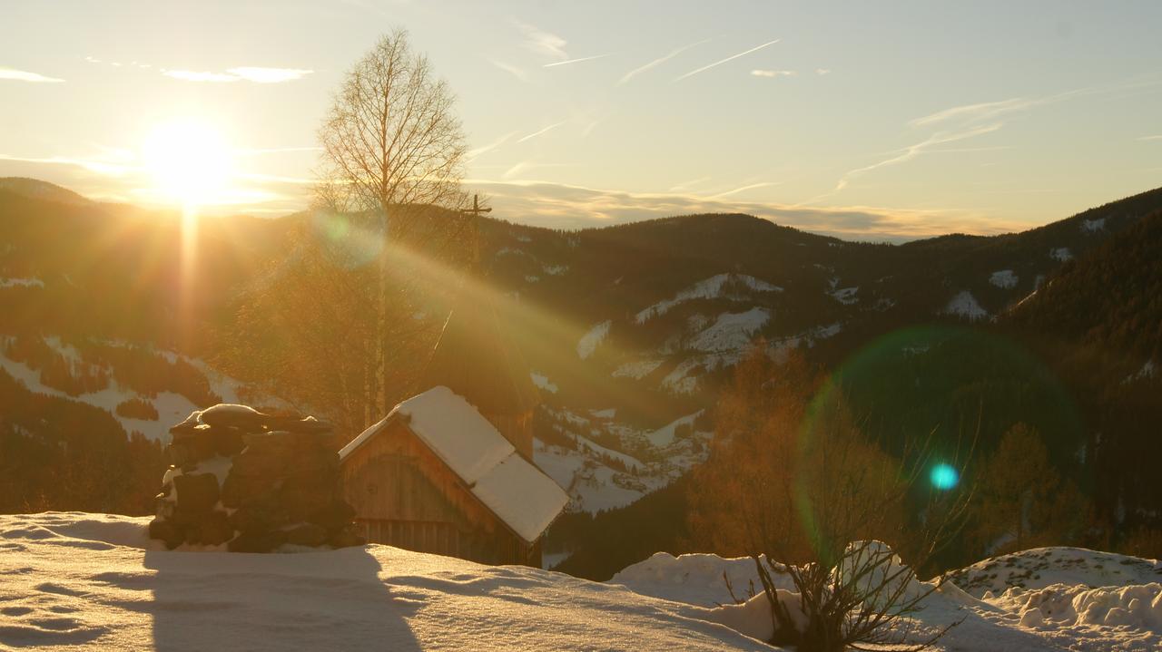 Schrunerhof Ebene Reichenau Buitenkant foto